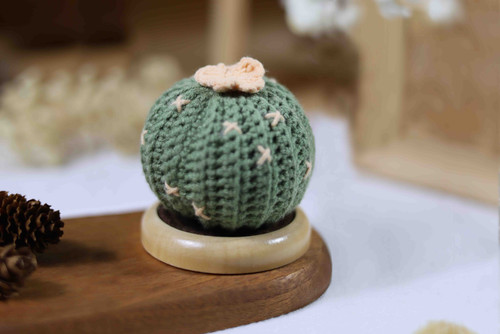 handmade spinus crochet blog - How To Better Know Crochet Knitted Potted Plants 1.jpg