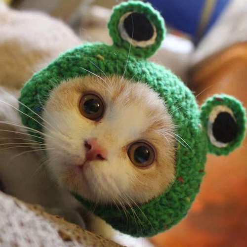 handmade spinus crochet blog - How To Better Cat Beanie Crochet 4.jpg