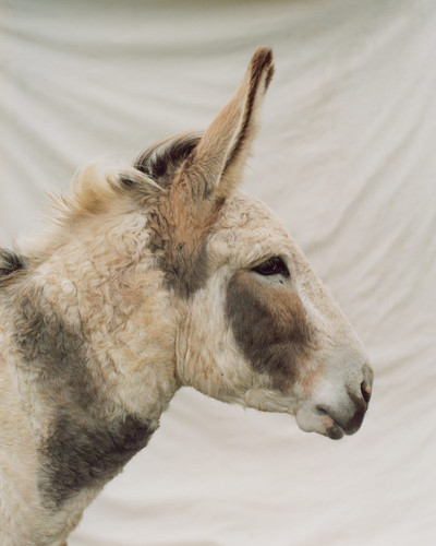 Roo Lewis Portfolio 27.jpg