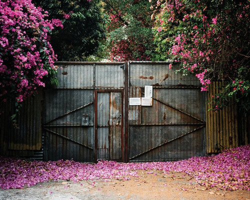 wong chung wai web hsheung pak nai a village along the coastline facing mainland china 1024x819.jpg