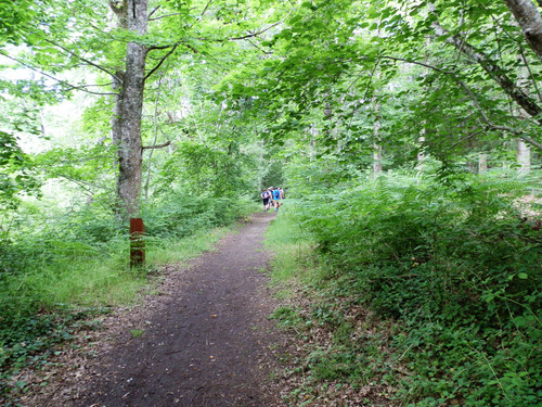 St Cyr en Val Les chateaux et l'étang 3.jpg