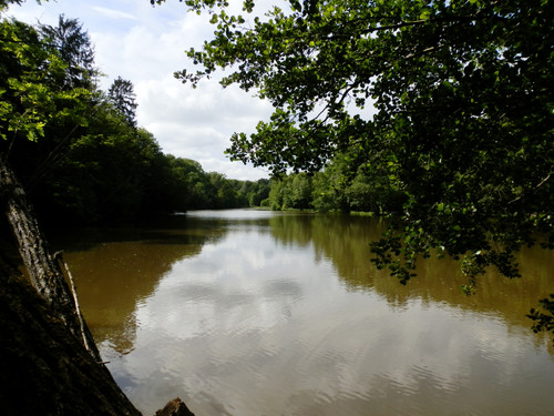 St Cyr en Val Les chateaux et l'étang 15.jpg