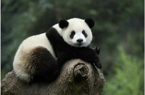 IMG 20231120 121125.jpg