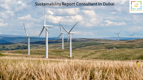 Sustainability Report Consultant In Dubai 1.jpg