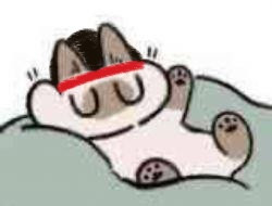 C0D1398C B2D8 42D2 B791 C5C38396E879.jpg