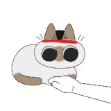 ABBA9D6F 4E7F 4900 BEEA A2C6C127E5B5.gif