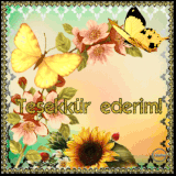 tesekkrgifresimleri5t8j9n.gif