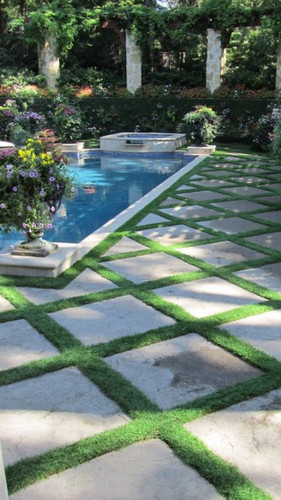 Mondo Grass Photos & Ideas.jpg