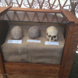 IMG 0235