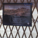 IMG 0227