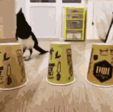 4h5E3uiIDWpKQMB.gif