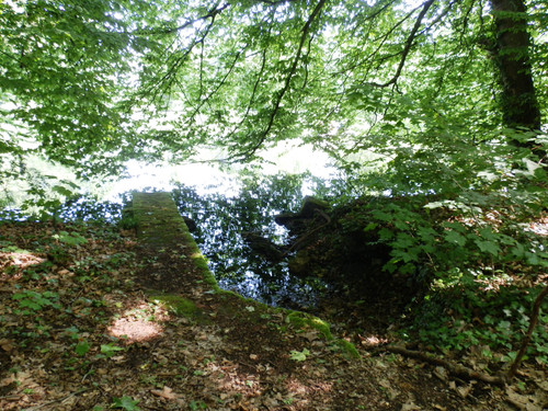 Olivet Bords du Loiret 89.jpg