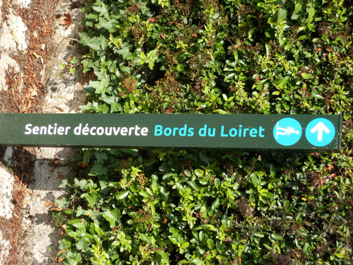 Olivet Bords du Loiret 79.jpg
