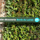 Olivet Bords du Loiret 79