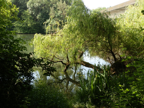 Olivet Bords du Loiret 67.jpg