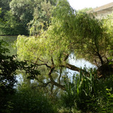 Olivet Bords du Loiret 67
