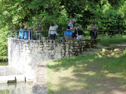 Olivet Bords du Loiret 81.jpg