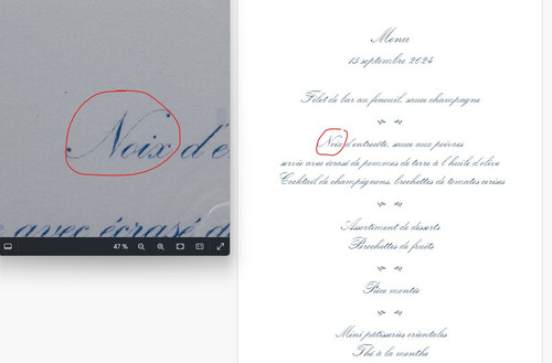 Capture d'écran 2024 06 11 150058 r.jpg