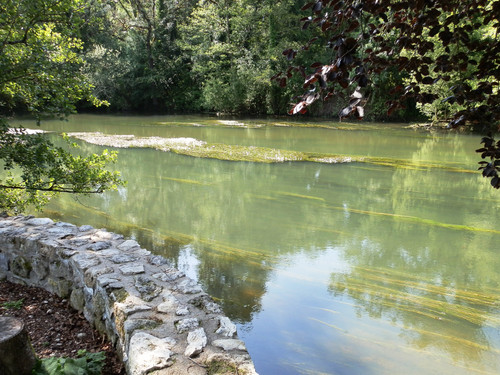 Olivet Bords du Loiret 82.jpg
