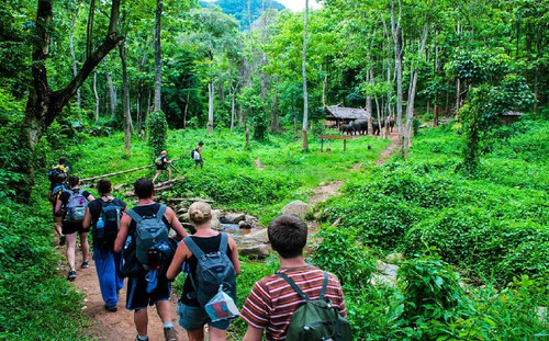 Exploring the Best Things To Do in Jim Corbett | Trekking.jpg