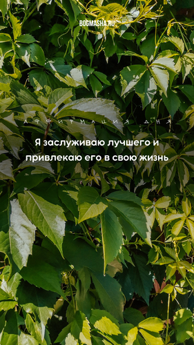 аффирмация на каждый день (22).png
