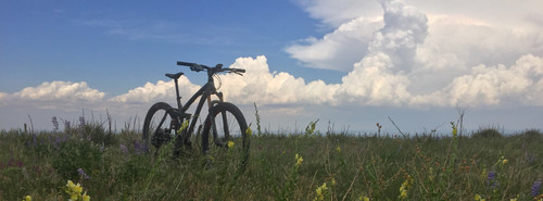 D0AA2E6A CB36 4C44 A172 0182B6FB17C0.jpg