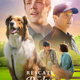 3Lj8U4iOShgHY0A9QulBMx8NuOs