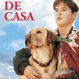 3k0NA8ZiJzd1aPWD9tduuRfxGCc