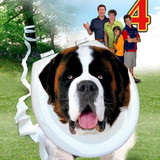 2Qabs3ZsVx7DyaIBWJgrg0geSBW