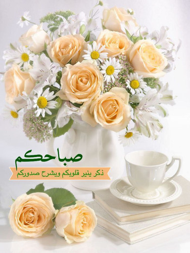  5818895862867278753 121.jpg