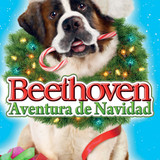 y9lB7wV0TGsuKsDj3JrlgegyIdh