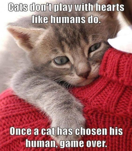 448023432 7545419045566918 9032436960535832968 n.jpg