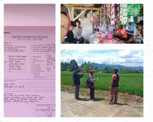 Sawah Guguak 44.jpg
