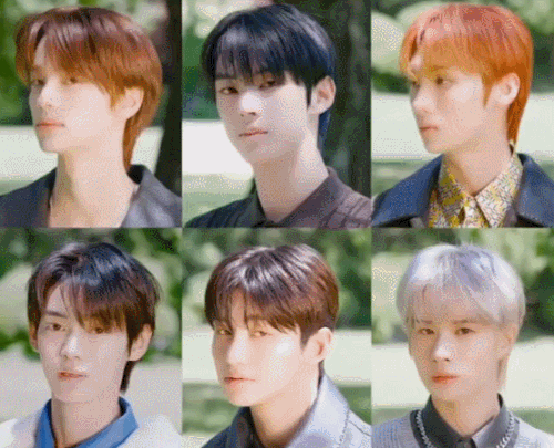 A8EA9F15 1214 440A BD1C 950BC40BC97B.gif