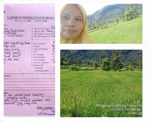 Guguak Tinggi SAiyo 66.jpg