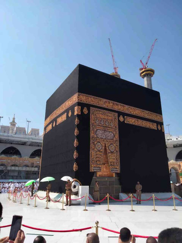 JPEG 20240611 001136 3105851805578024324.jpg