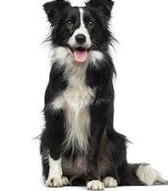 images copy 168x191.jpg