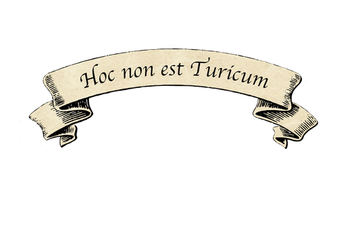 Hoc non est Turicum maecenas accumsan lacus vel f copy 3.png
