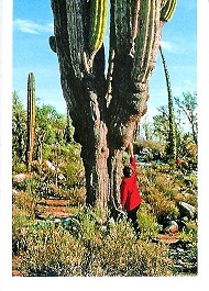 PENNY Naše země 004.jpg