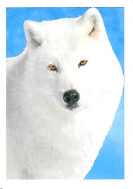 PENNY Naše země 017.jpg