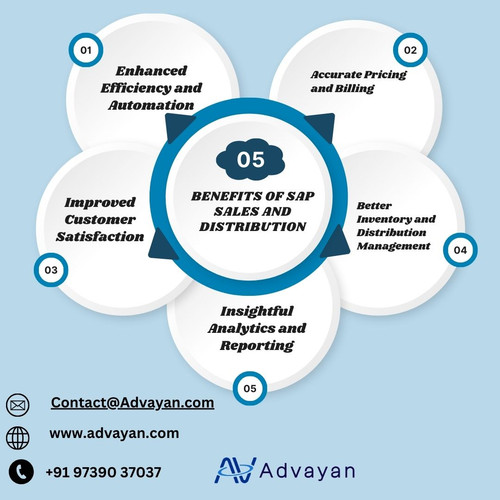 SAP Sales and Distribution.jpg