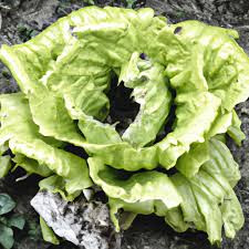 3a688cde e759 4b73 81ca 0227d6713315.jpg