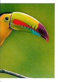 PENNY Naše země 043.jpg