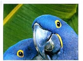 PENNY Naše země 050.jpg