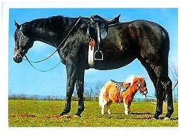 PENNY Naše země 054.jpg