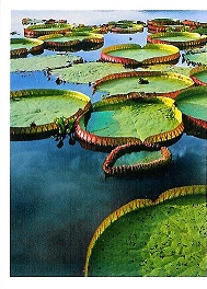 PENNY Naše země 065.jpg