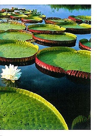 PENNY Naše země 066.jpg