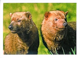 PENNY Naše země 071.jpg