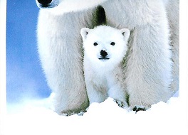 PENNY Naše země 077.jpg