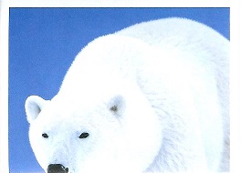 PENNY Naše země 076.jpg